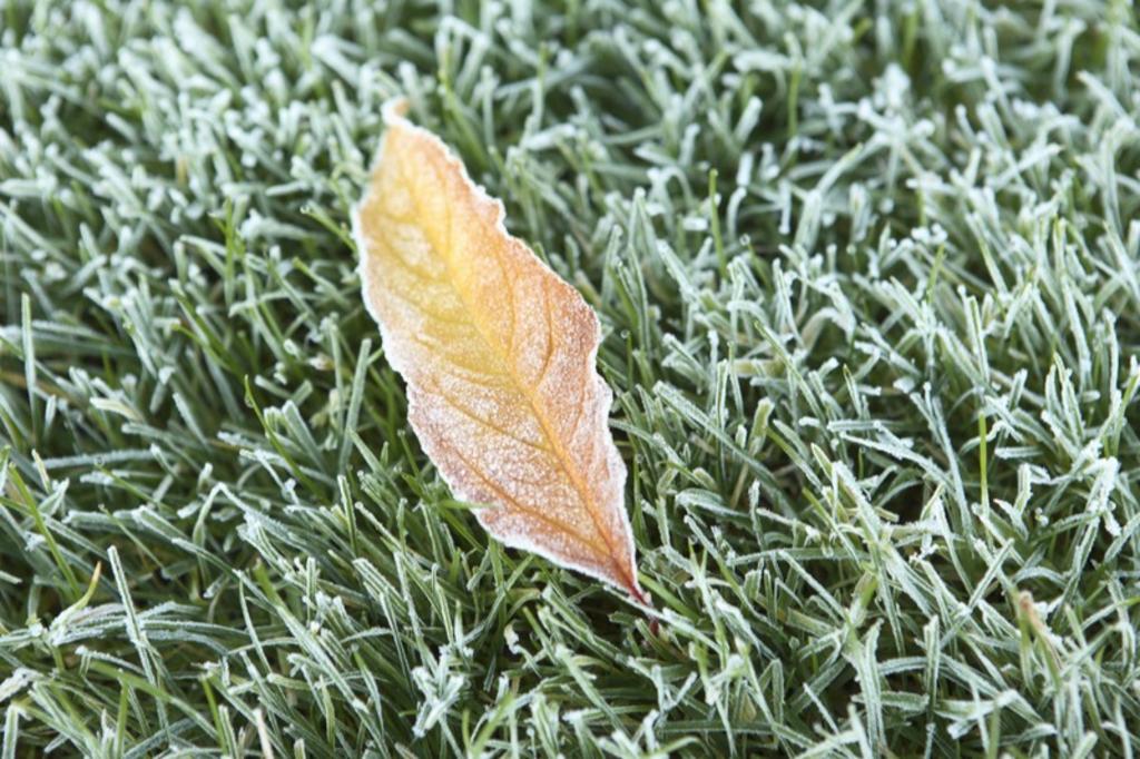 Winter Sprinkler Systems