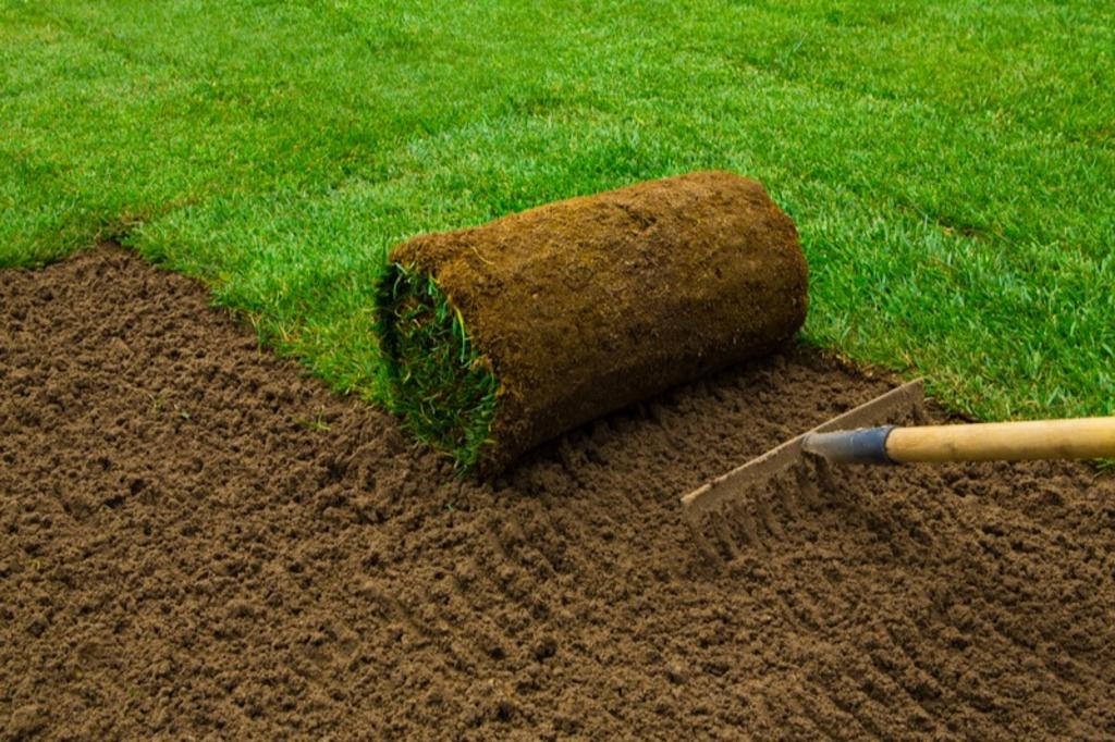 Sod Installation