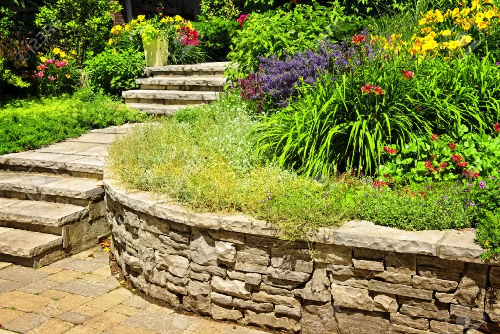 newly landscaped front yard