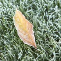 Winter Sprinkler Systems