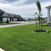 Residential Landscape Design