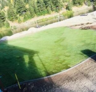 Residential Sod Installation