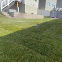 Residential Sod Installation