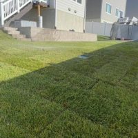 Residential Sod Installation