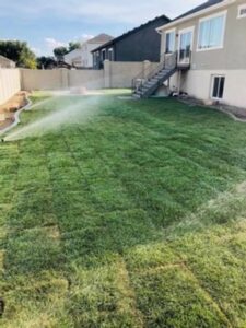 Residential Sod Installation
