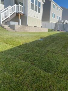 Residential Sod Installation