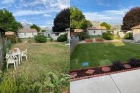 Residential Landscape Design