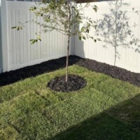 Residential Sod Installation