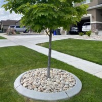 Residential Landscape Design
