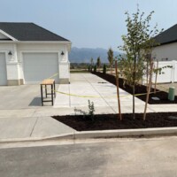 side drive way concrete