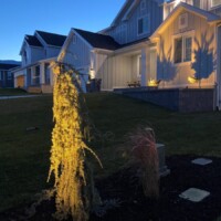 side yard landscaping