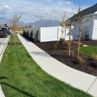 sideyard landscaping and fence