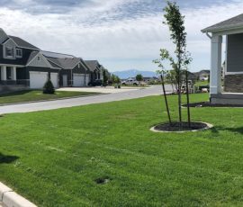 A residential suburban street with manicured lawns and houses under a blue sky.