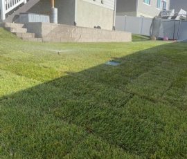 A newly installed lawn with a sprinkler spraying water in front of a house.