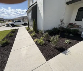 A white brick house with a concrete walkway and landscaped garden beds featuring small shrubs and mulch.